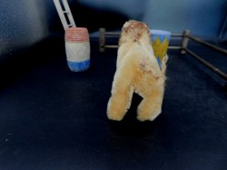 steiff lion mini bk